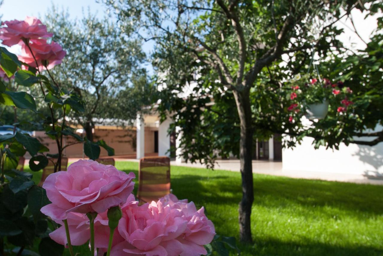 Weis Apartments Rovinj Bilik gambar